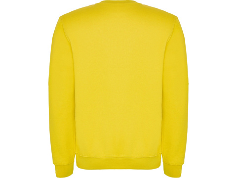 Свитшот с начесом Clasica унисекс, желтый - рис 2.