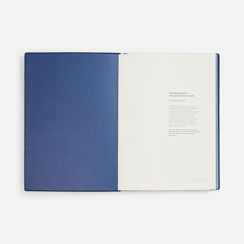 Ежедневник Stitch, недатированный, синий - рис 8.