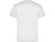 Футболка Teckel мужская, белый - миниатюра - рис 2.