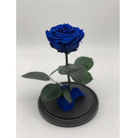 Синяя роза в колбе (средняя) - рис 2.