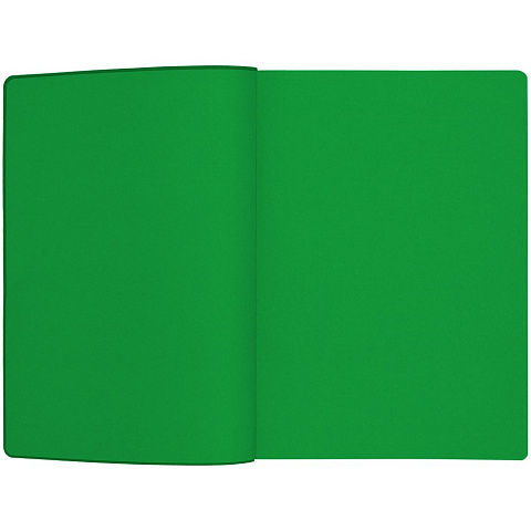 Ежедневник Flexpen Shall, недатированный, зеленый - рис 9.