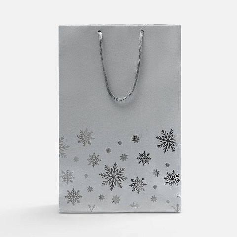 Пакет Wintry, серебристый - рис 3.