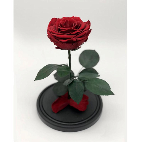 Красная роза в колбе (средняя) - рис 2.