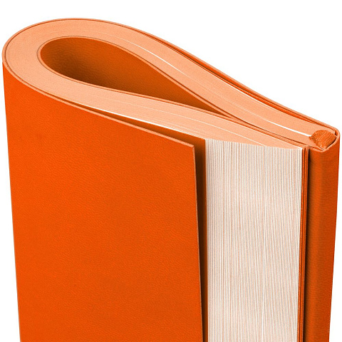 Ежедневник Flat Maxi, недатированный, оранжевый - рис 7.